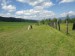 IMG_20190518_112701_1