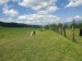IMG_20190518_112701_2